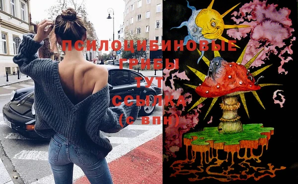 мяу мяу мука Арсеньев