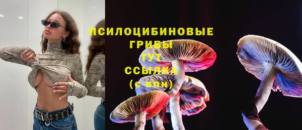мяу мяу мука Арсеньев