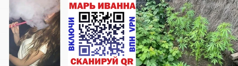 купить   Сосенский  Канабис конопля 